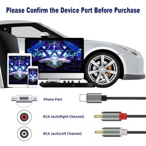 Cable de audio profesional USB C a 2 RCA (3 en 1), chaqueta de PVC de 5m de longitud para amplificador de potencia, altavoz de cine en casa para coche, Radio - Product Image 2