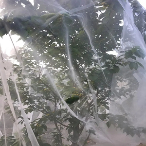 Best Quality Agriculture HDPE Plastic Anti-Insect Net for Tree Vegetable Garden Greenhouse Protection Roll
