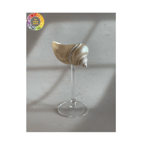 Monte deniz kabuğu ekran aksan sahil masa tasarımı, sanatsal raf cushelf ve Minimalist butik stil kavramları için - Product Image 6