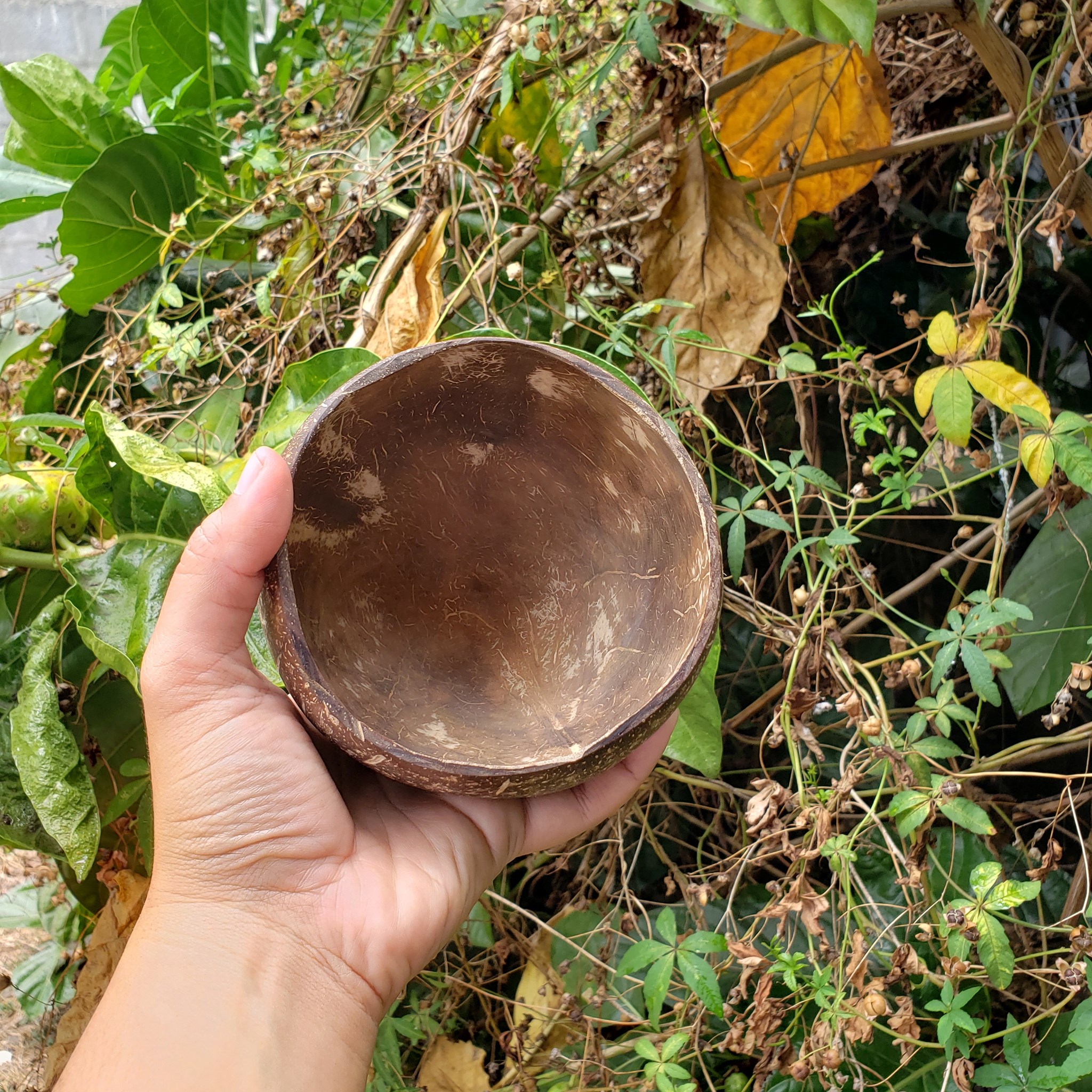 Natural coconut color