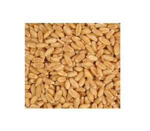 <strong>Wheat</strong> Best Grade Whole Organic Soft Hard Milling <strong>Wheat</strong> Grains /soft <strong>Wheat</strong> in Bulk