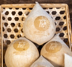 Premium personalizzato cocco Laser-incisione autentica, di alta qualità di esportazione e importazione personalizzabile Branding, noci di cocco fresche e naturali - Product Image 6