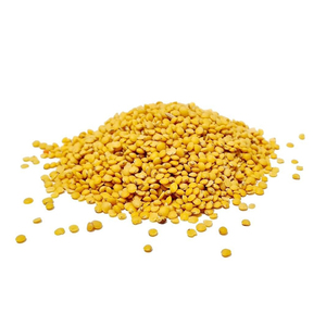 Direct Farm Price Red Lentils Available in Bulk Quantity for Wholesale Buyers Food Grocery Legume Best Price - Product Image 5