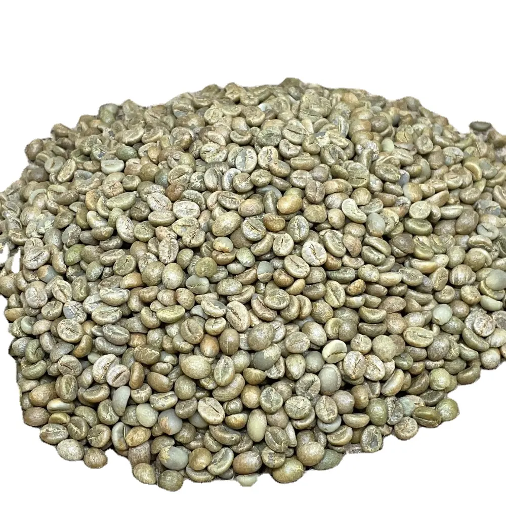 Vietnam High Quality Robusta green coffee beans from trusted Factory 0084339966582