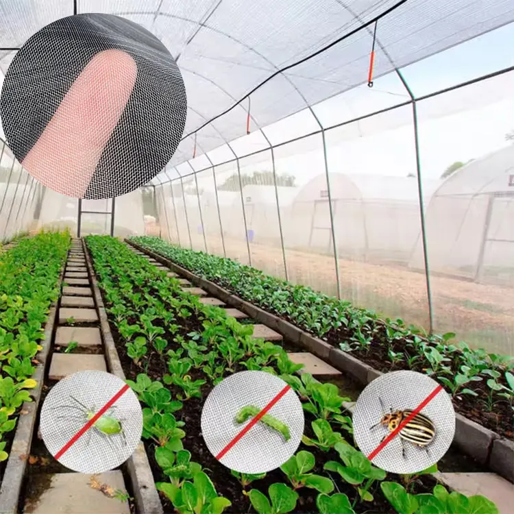 HDPE Anti-Aphid / Anti-Mosquito / Anti-Bird / Anti-Insect Netting for Agricultural Vegetables and Fruit Trees