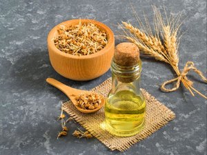 Wholesale Factory Manufacturer Aromacare Healthy Aromatherapy Wheatgerm <strong>Oil</strong> 100% Pure And Natural Wheatgerm <strong>Oil</strong> Premium Garde - Product Image 5