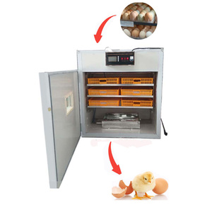 Incubadora de huevos solar automática de huevos de gallina 528 en África Incubadora DE TRABAJO solar y eléctrica de sistema dual de - Product Image 2