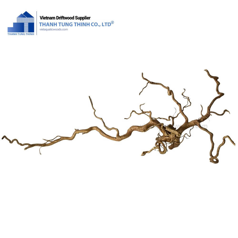 ธรรมชาติ