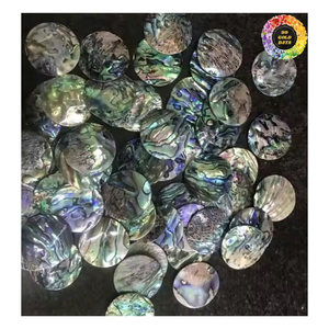 <strong>Paua</strong> Mother of Pearl Abalone Shell Sheet, Abalone Shell Jewelry Natural Seashell Round Blanks For Crafting <strong>Inlay</strong> Pendants - Product Image 2