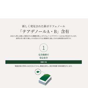 金松茶日本有机绿茶由黑曲霉发酵而成的新感觉健康茶。