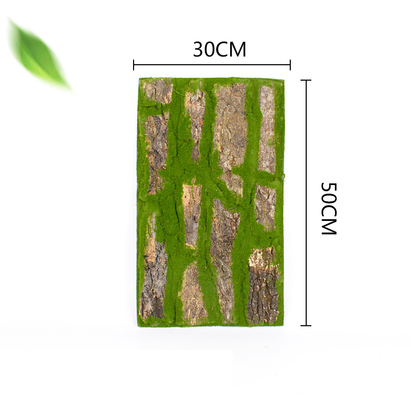 01 30*50cm