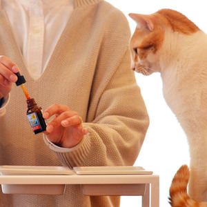 Japon yapımı özelleştirilebilir lezzet yağ kapsülleri köpekler kediler için doğal sağlık yapışmalı Pet takviyeleri Pet sağlık takviyeleri - Product Image 4