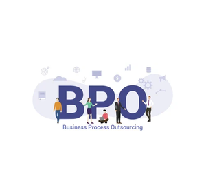 Günstigste Preise BPO Software Development Software Kunden spezifische Funktion zum Verkauf durch indische Exporteure