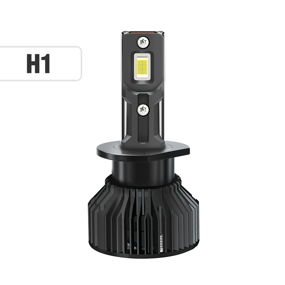 H1