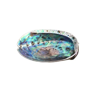 Großhandel Abalone Shells: Ihre Quelle für große Mengen und Qualität - Product Image 1