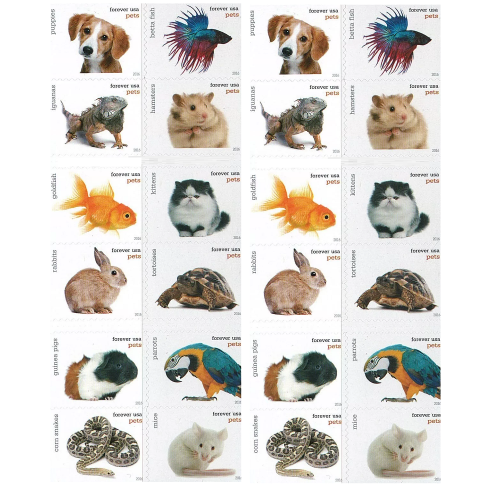 2016 Pets 500374-D6-37-16CW