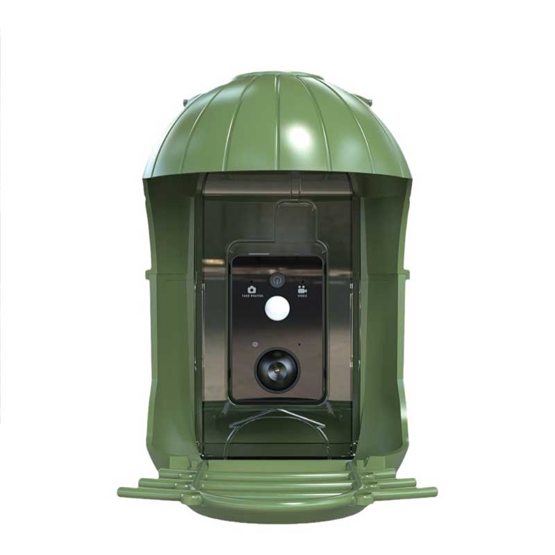 Verde