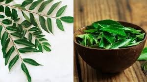 Export Quality Curry Leaf High-Potency Superfood for Digestion Hair <strong>Growth</strong> and Skin Care from <strong>India</strong> - Product Image 4