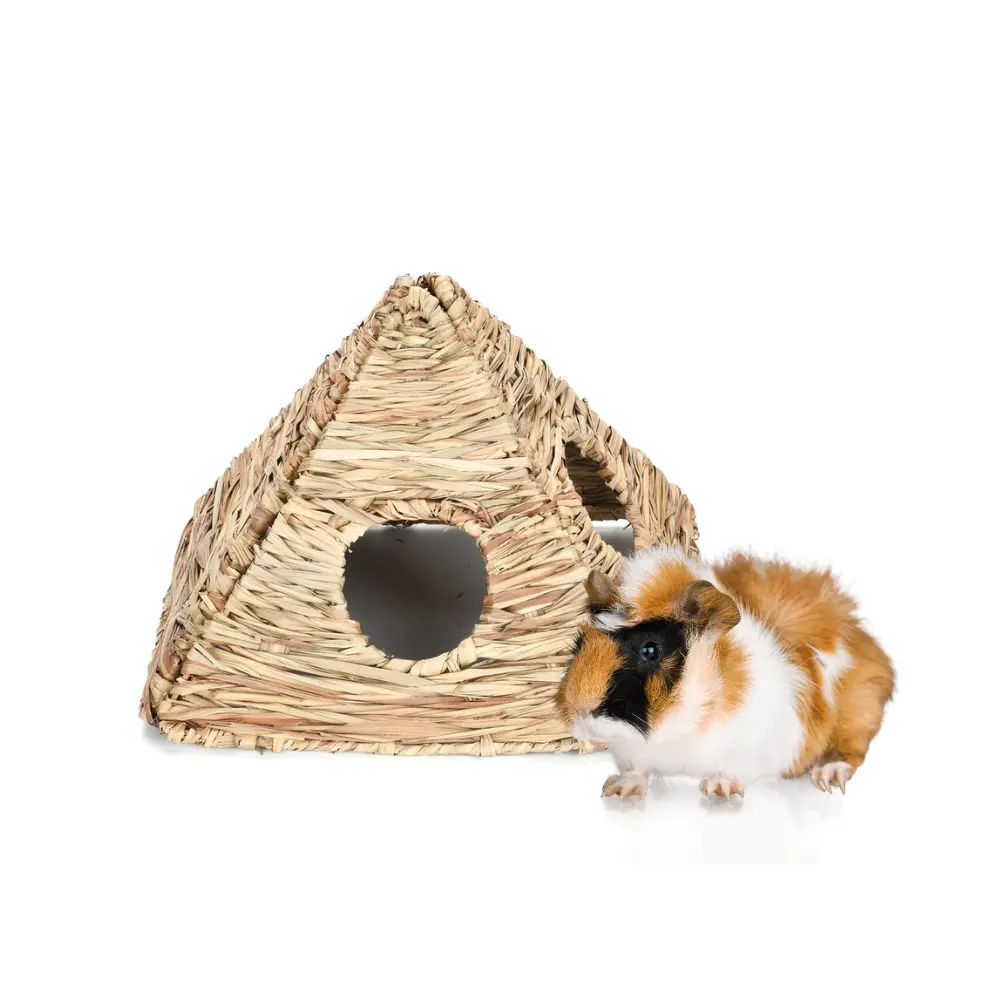 Amazon Hot Selling Großhandel Meers chweinchen Spielhaus-Essbares Nagetier nest, Hamster käfig Zubehör, Kleines Haustier Kau spielzeug