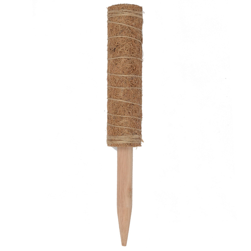 Bâton de palmier de coco-Eucalyptus