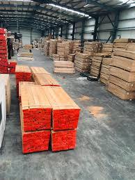 Premium taze kesilmiş kayın kareler 300 m3 ihracat için hazır Premium parke çam ahşap kereste için dış mekan mobilyası