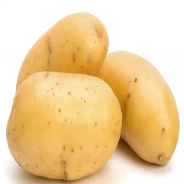 2023 New crop Yellow fresh potato Wholesale fresh vegetables New fresh potato