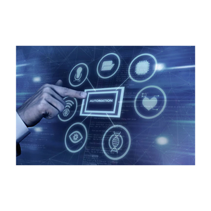 Gestione della qualità Premium degli esportatori indiani DOS Software Mac Computer Internet che padroneggia l'automazione dei processi digitali OEM - Product Image 2