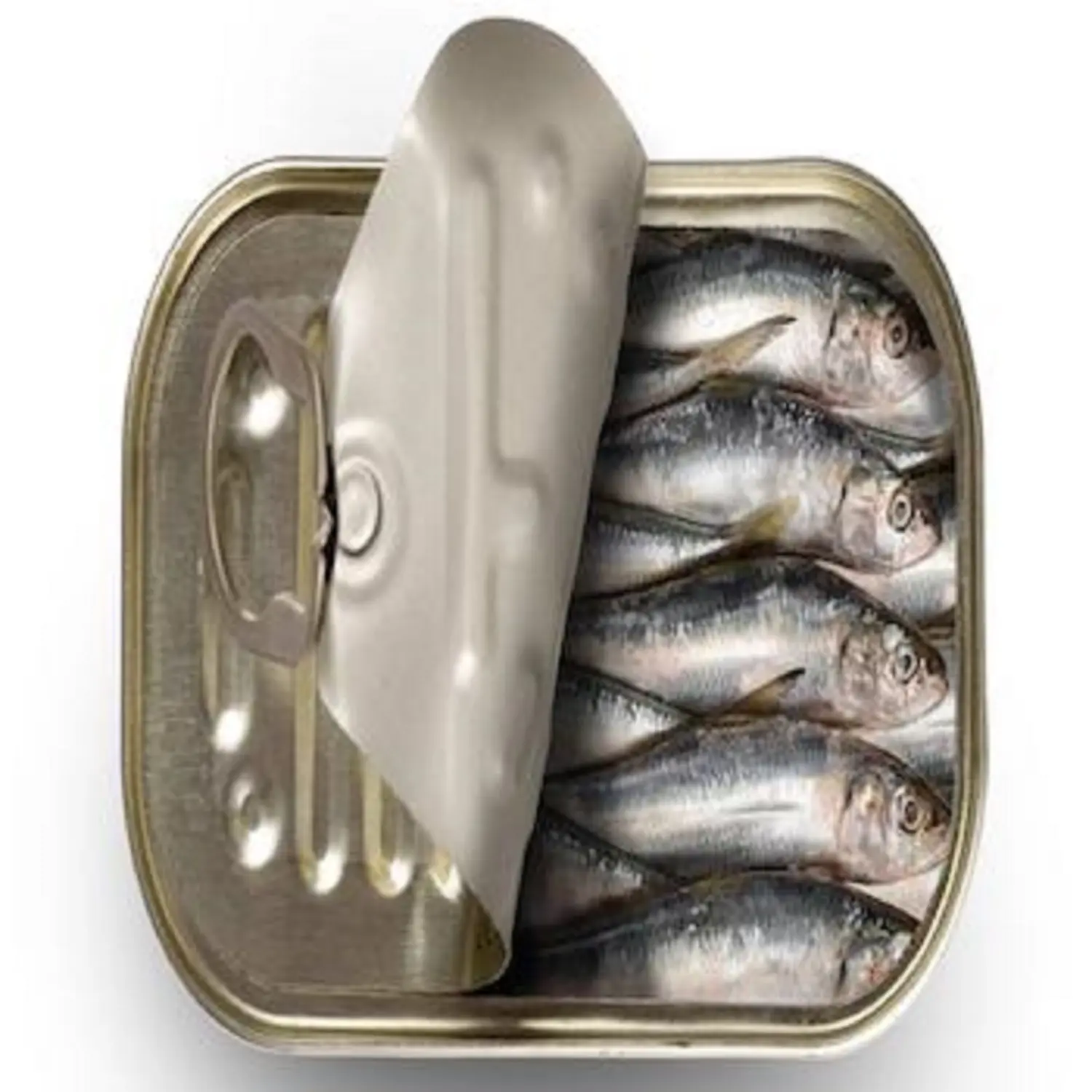 Procesamiento automático de sardinas enlatadas Línea de producción de atún enlatado con sabor a pescado