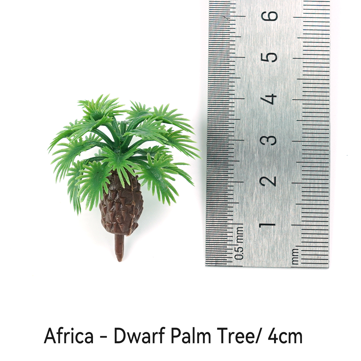 Africa - Dwarf Palm Tree_ 4cm