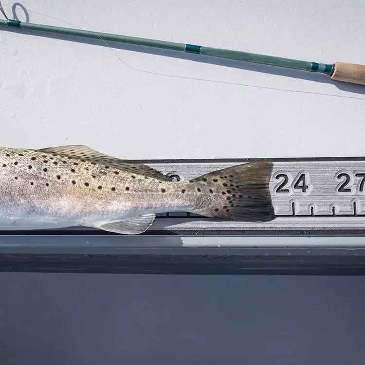 Até mesmo uma peça pode ser personalizada acessórios de pesca para barco à prova d'água tapete de espuma EVA mar personalizado réguas de peixes