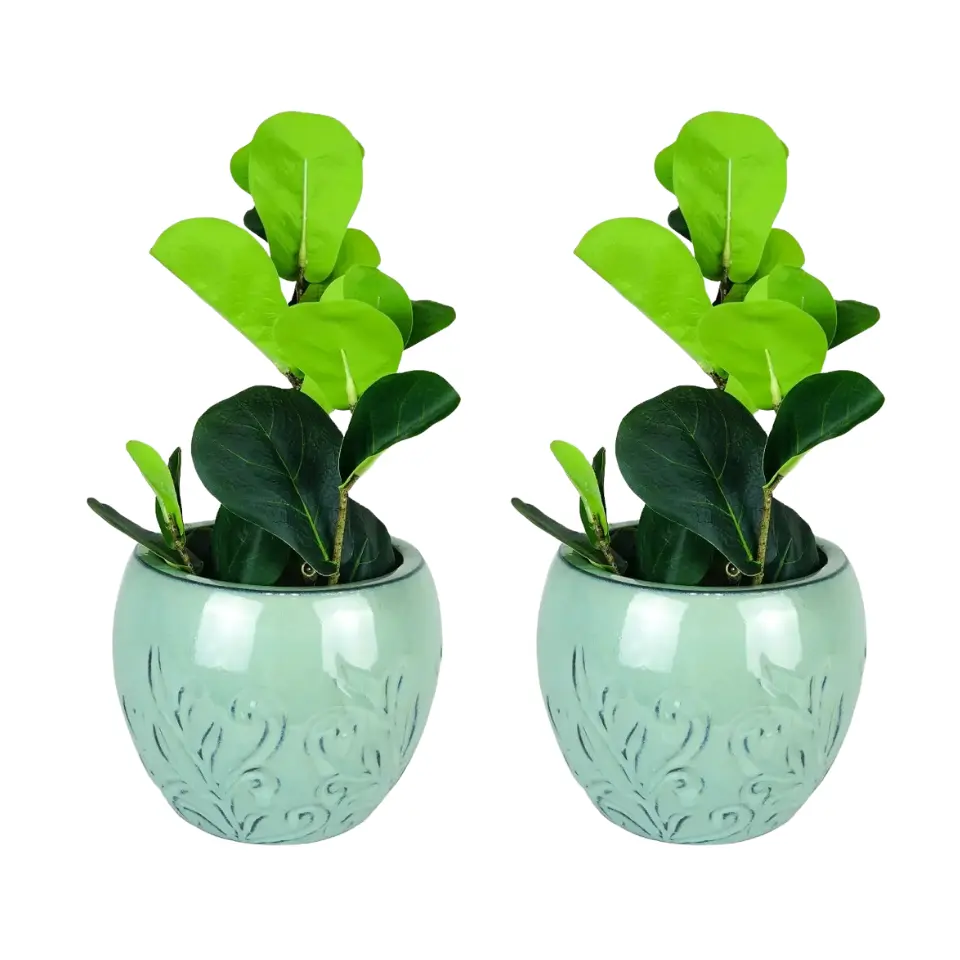 Vaso de leite verde, vaso de plantas verdes de jardim, planters para decoração ao ar livre, estilo mediterrâneo do vietnã