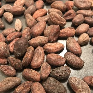 2024购买50千克袋装的干可可豆，有机烤可可豆，晒干的生可可豆出售