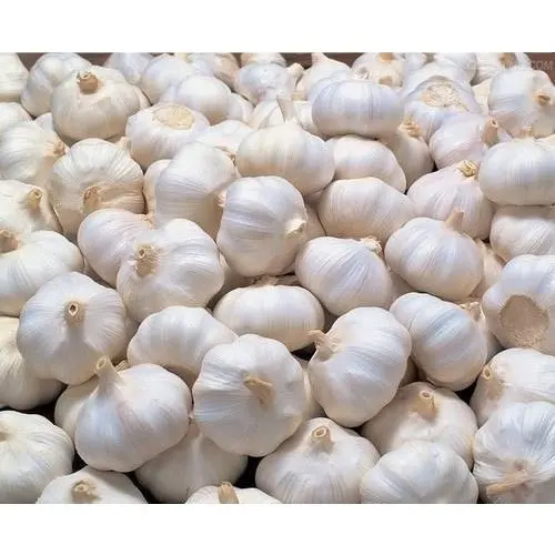 Garlic Chinese fresh pure white garlic for wholesale fresh vegetables in mesh bags/cartons factory price fresh white garlic