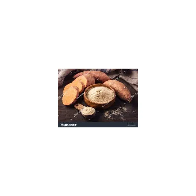 Échantillon gratuit de qualité alimentaire certifié ISO approvisionnement d'usine poudre de patate douce poudre de couleur naturelle prix abordable en inde
