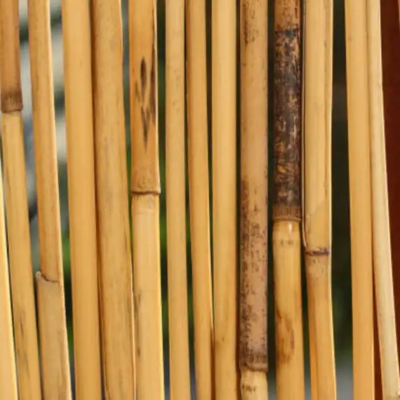 Palo de ratán de bambú natural ecológico 100% para plantas de jardín flor seca