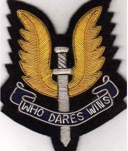 SOUTH STAFFORDSHIRE REGIMENT BLAZER BADGE工場製OEM軽量金塊ワイヤーバッジ低MOQ装飾的な縫い付けバッジ