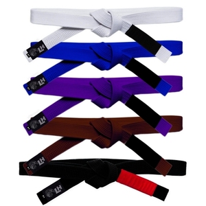 Direct Factory Custom Brazilian Jiu Jitsu Logo Belt High Quality <strong>EVA</strong> <strong>Foam</strong> for Karate Boxing Wrestling and MMA Custom Logo - Product Image 1