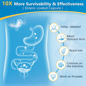 Yeni Lactobacillus takviyeleri Billon Salivarius Casei Bifidobacterium Lactis erkekler sağlık için probiyotik kapsüller - Product Image 3