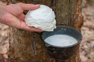 High Quality Natural Latex <strong>Rubber</strong> Factory Direct Best Price Standard Molding Grade Raw Materials From Thailand for Sale to <strong>USA</strong> - Product Image 3