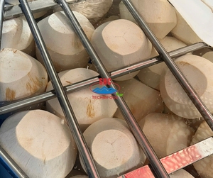 Sweet Young <strong>Coconut</strong> from Vietnam Diamond <strong>Shape</strong> Freshly Trimmed for Export Long Shelf Life in Cold Storage - Product Image 5