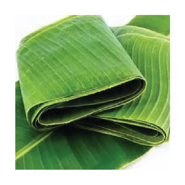 ベトナムの丸い形のバナナの葉からの新鮮なバナナの製品高品質