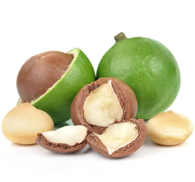 Nguyên hạt Macadamia bán buôn cao cấp lớp, rang bóc vỏ Hữu Cơ macademia Nuts