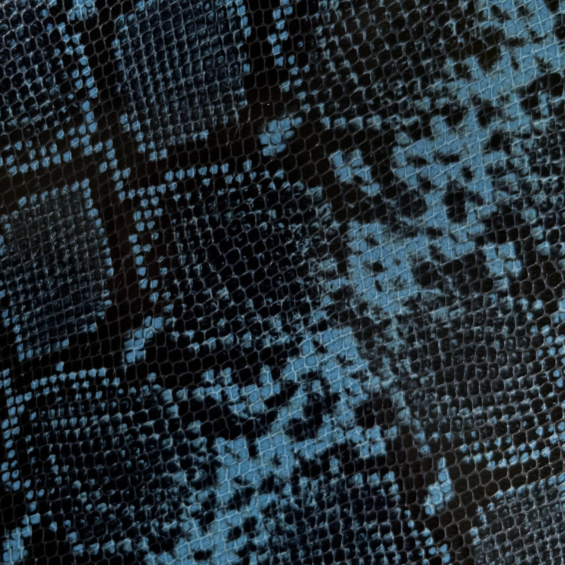 Python bleu