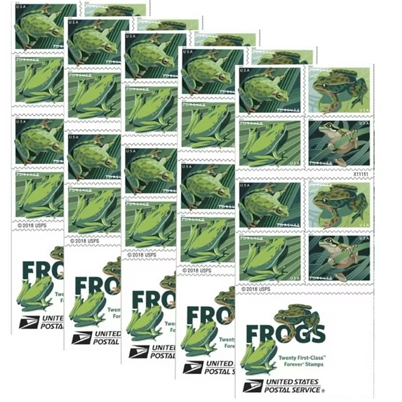 2019 Frogs 500374-E9-50-19QW