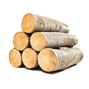 Kalite kuru yuvarlak tik günlükleri dayanıklı doğal tik ahşap kapı günlükleri en iyi fiyata satılık ahşap - Product Image 2