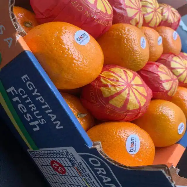 Fresh Spanish Morket / Fresh Mandarin Orange-Venta al por mayor de cítricos con alta calidad Precio barato en Egipto