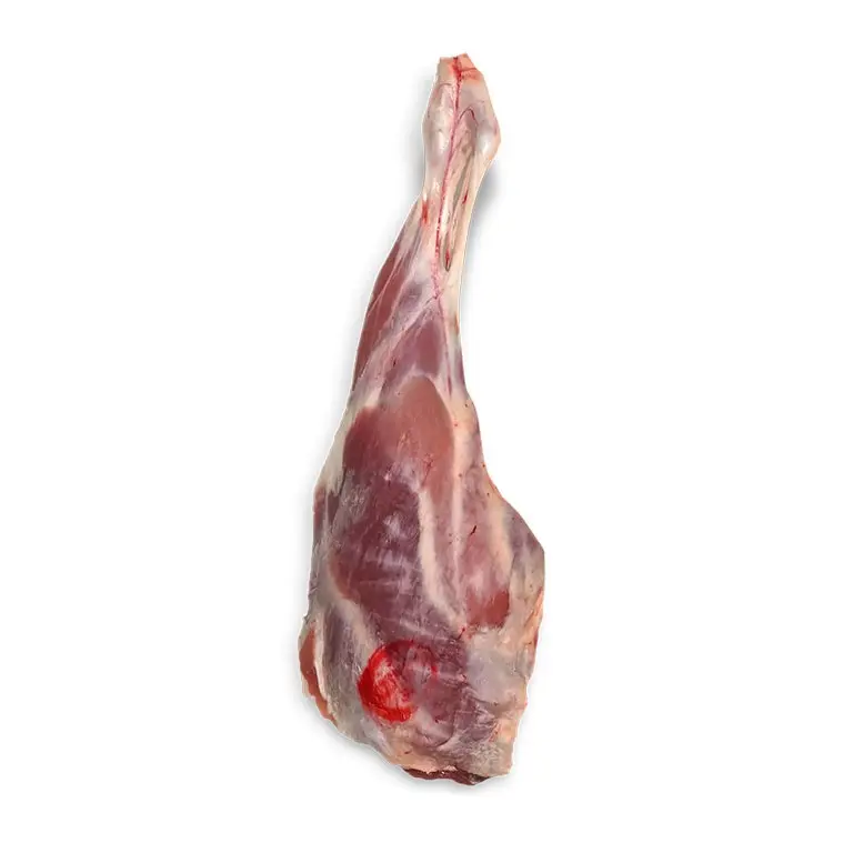 Viande d'agneau congelée fraîche, carcasse d'agneau entier/viande de mouton de chèvre congelée, carcasse de chèvre congelée à bas prix