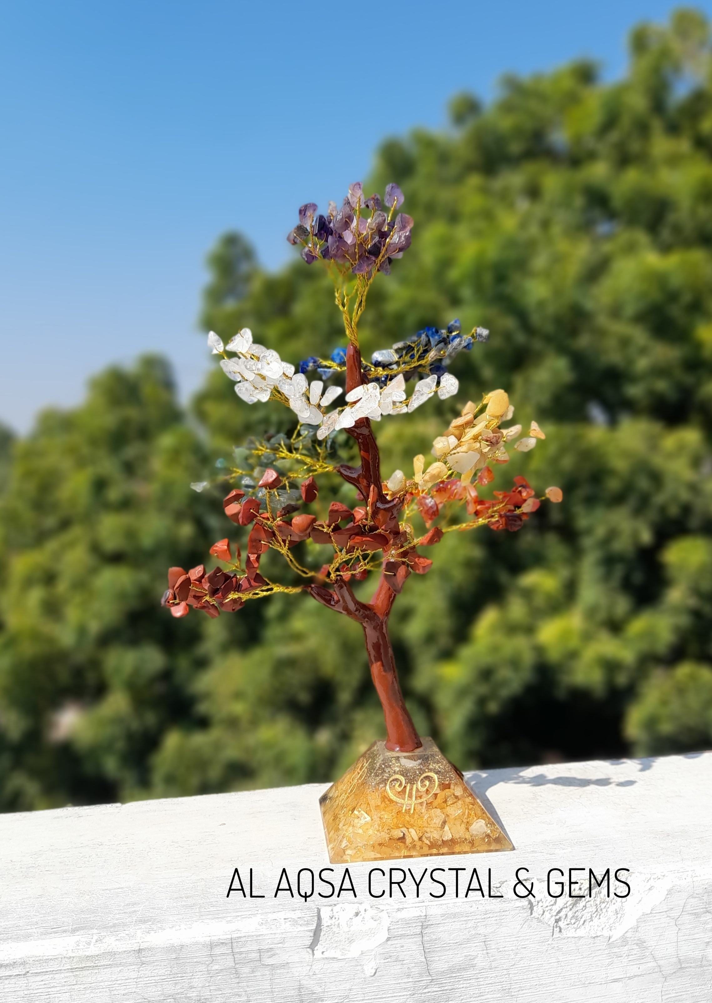 จักระทั้งเจ็ด