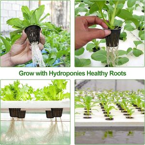 Round Heavy Duty <strong>Pot</strong> Slotted <strong>Mesh</strong> <strong>Net</strong> Cups 2 Inch Plastic <strong>Net</strong> <strong>Pots</strong> for Hydroponics and Garden - Product Image 6