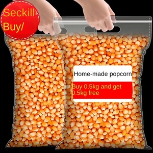 NON- GMO Bites Popcorn Kernels Seeds | Organic Popcorn Maize - Product Image 1